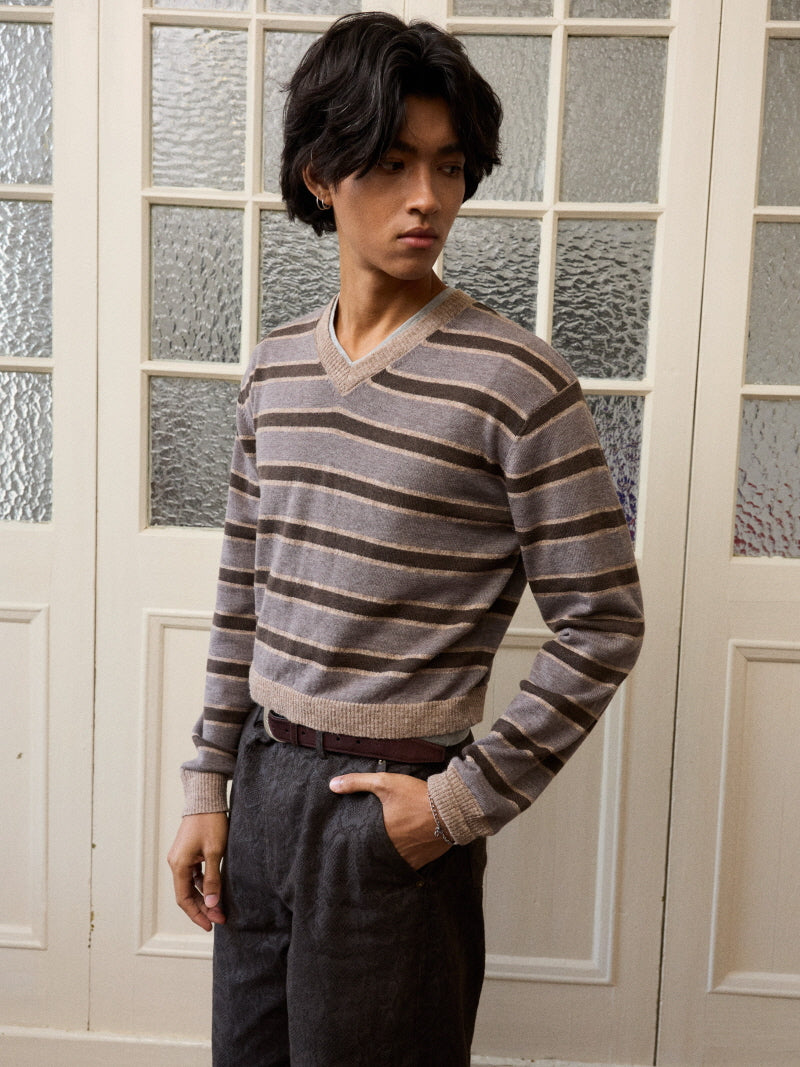 Cropped Stripe V-Neck Knit