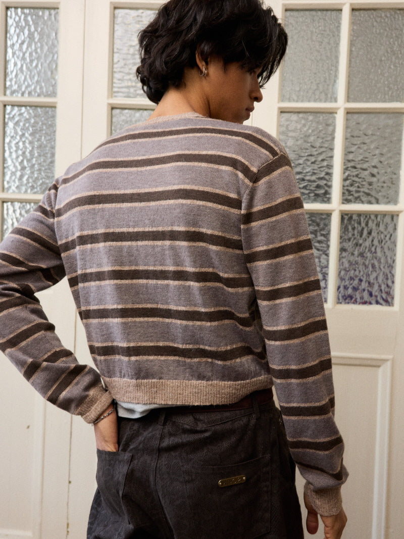 Cropped Stripe V-Neck Knit